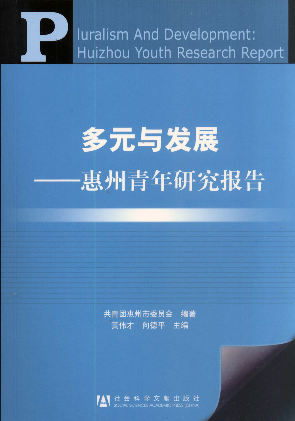 多元与发展——惠州青年研究报告