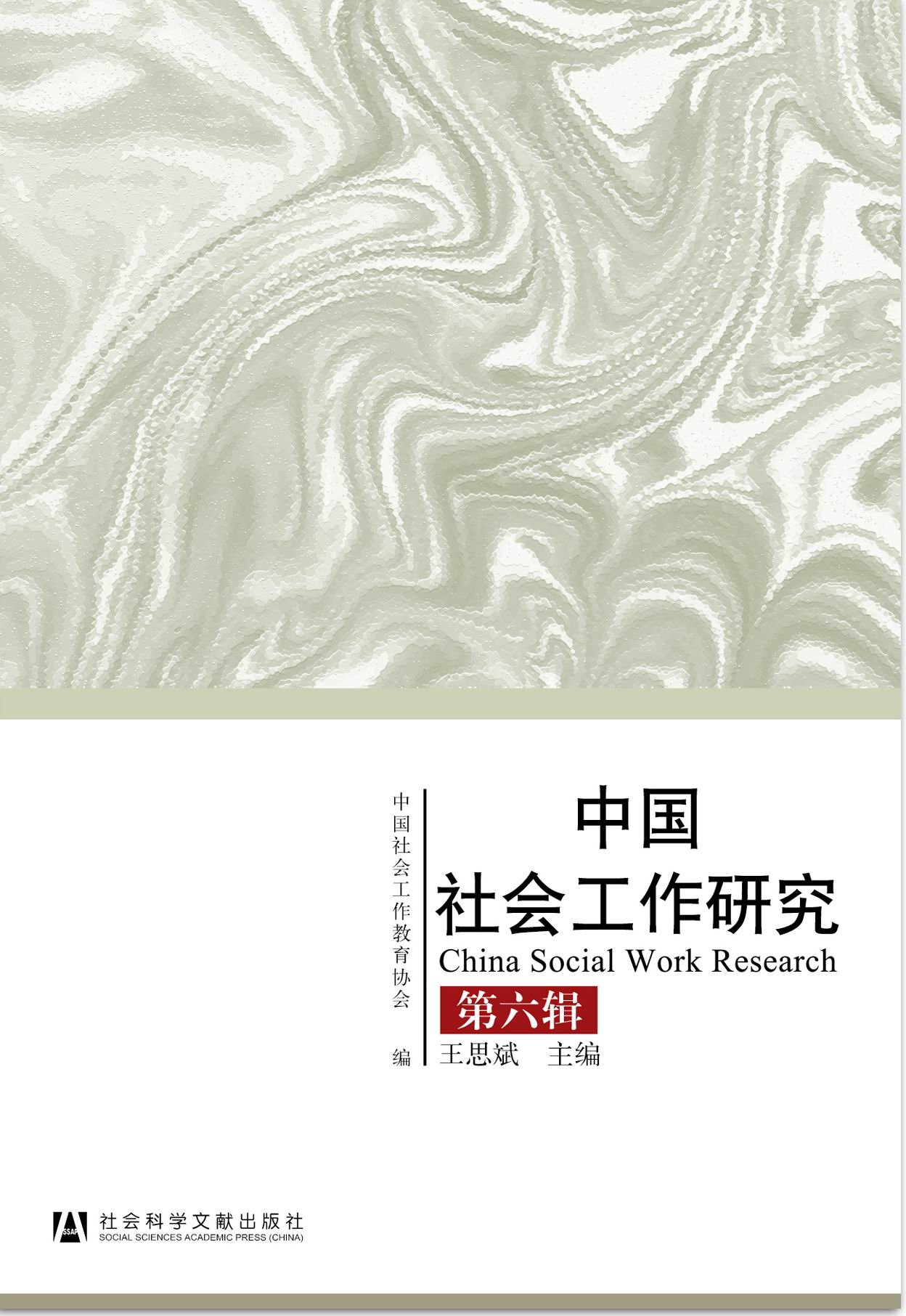 中国社会工作研究（第六辑）
