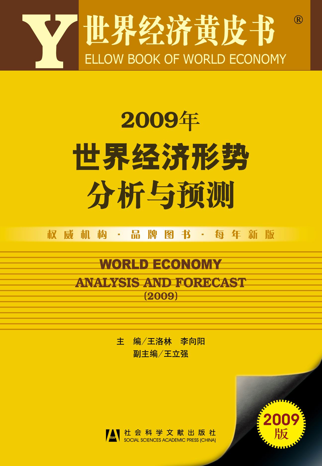 2009年世界经济形势分析与预测