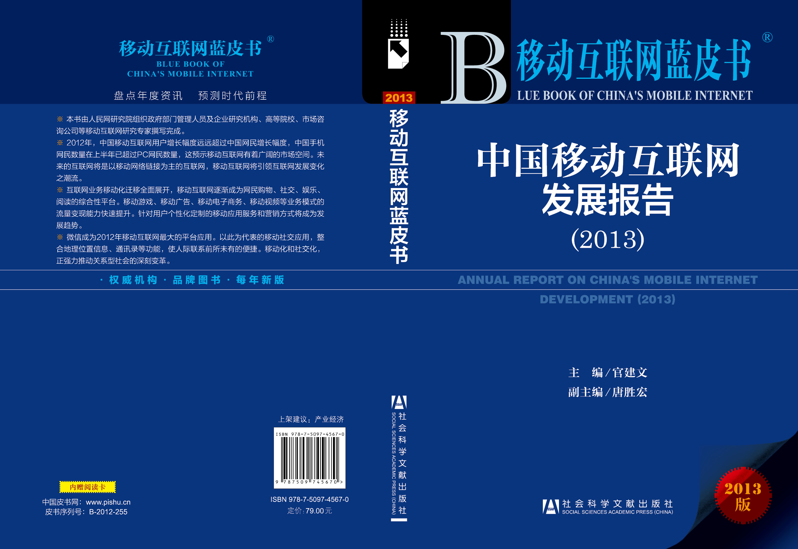 中国移动互联网发展报告（2013）