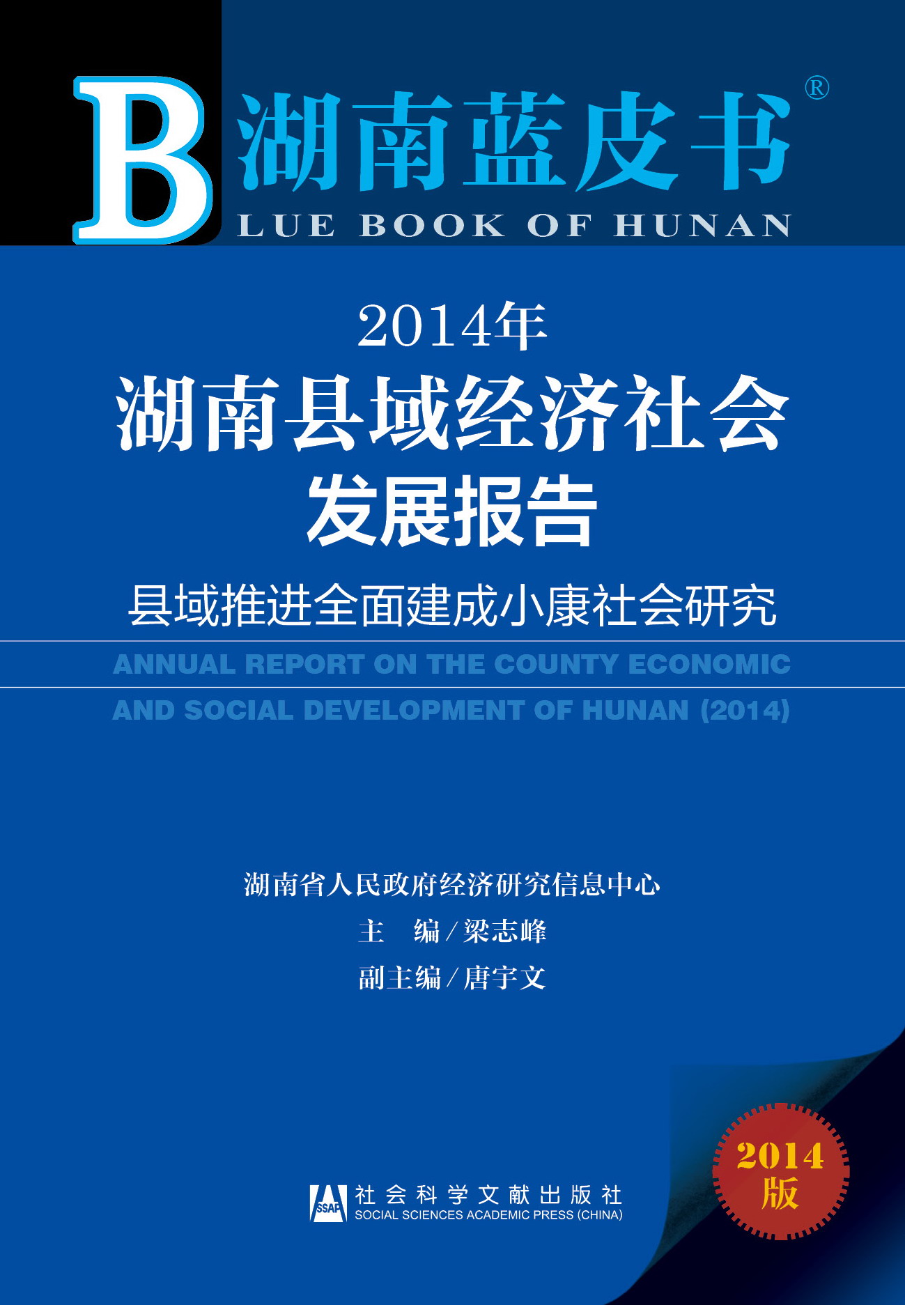 2014年湖南县域经济社会发展报告