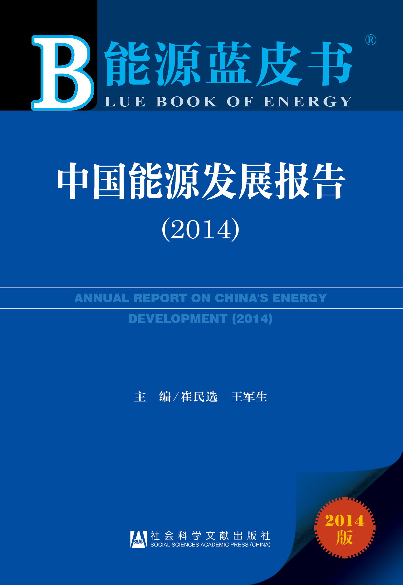中国能源发展报告（2014）