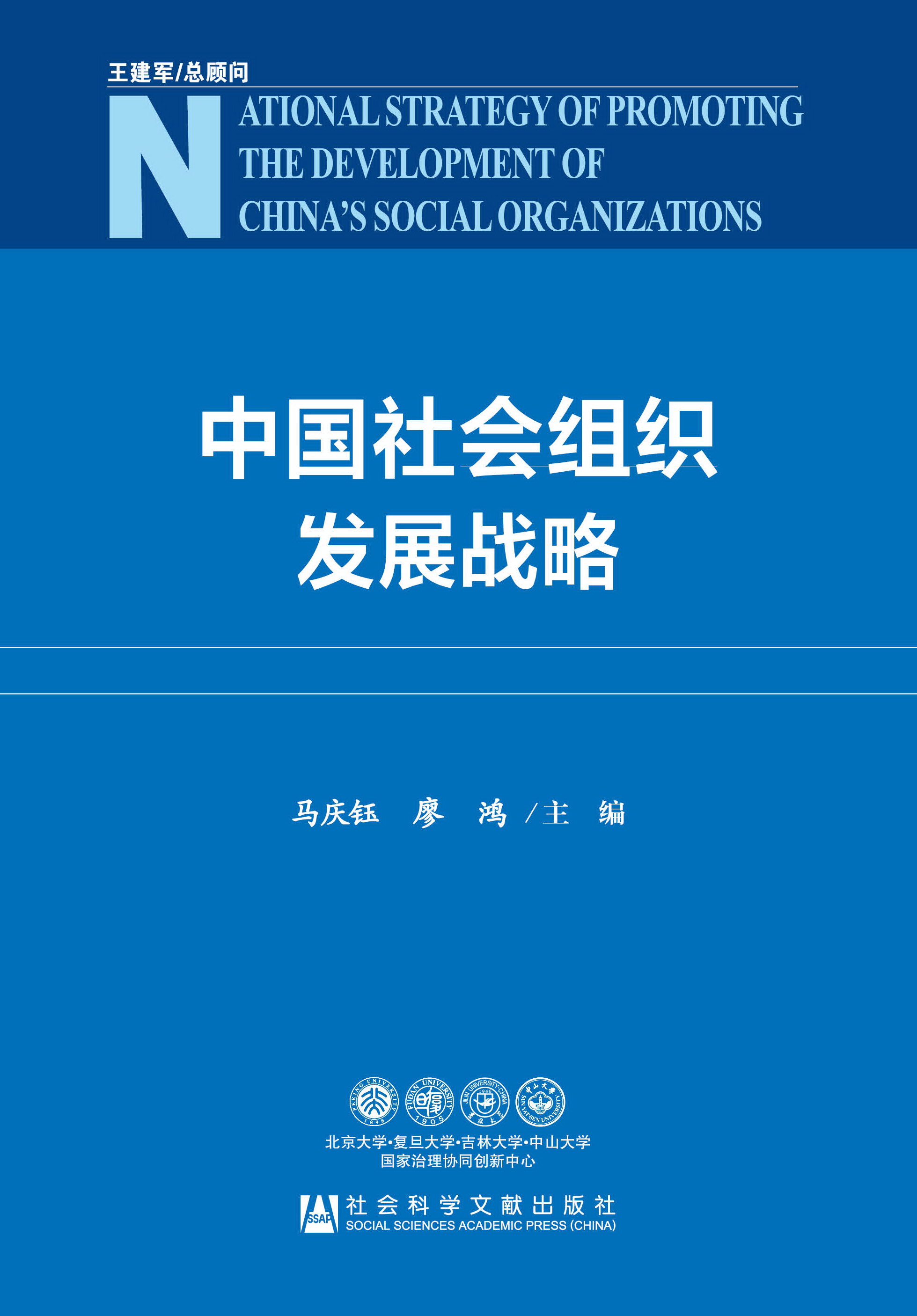 中国社会组织发展战略