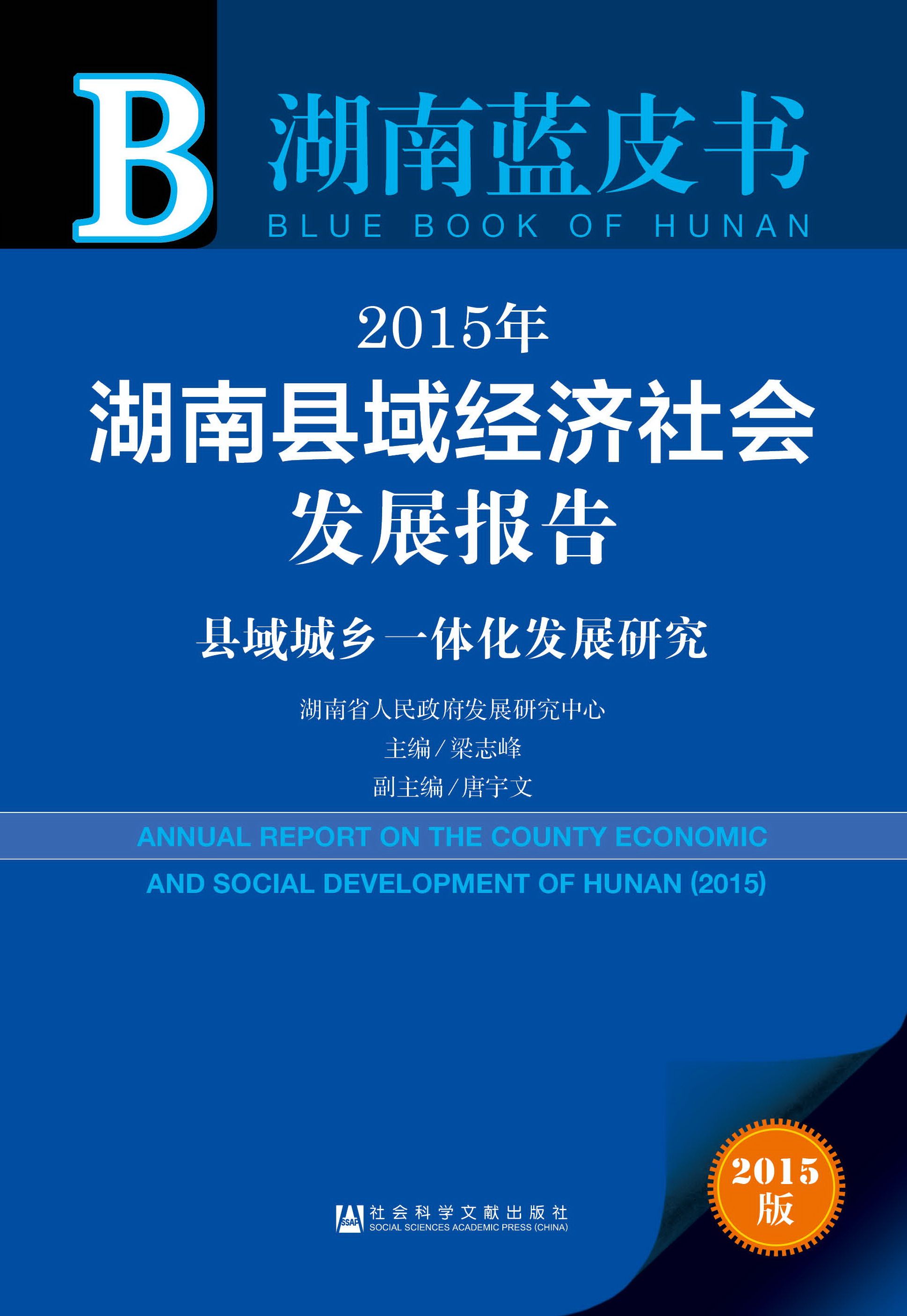 2015年湖南县域经济社会发展报告