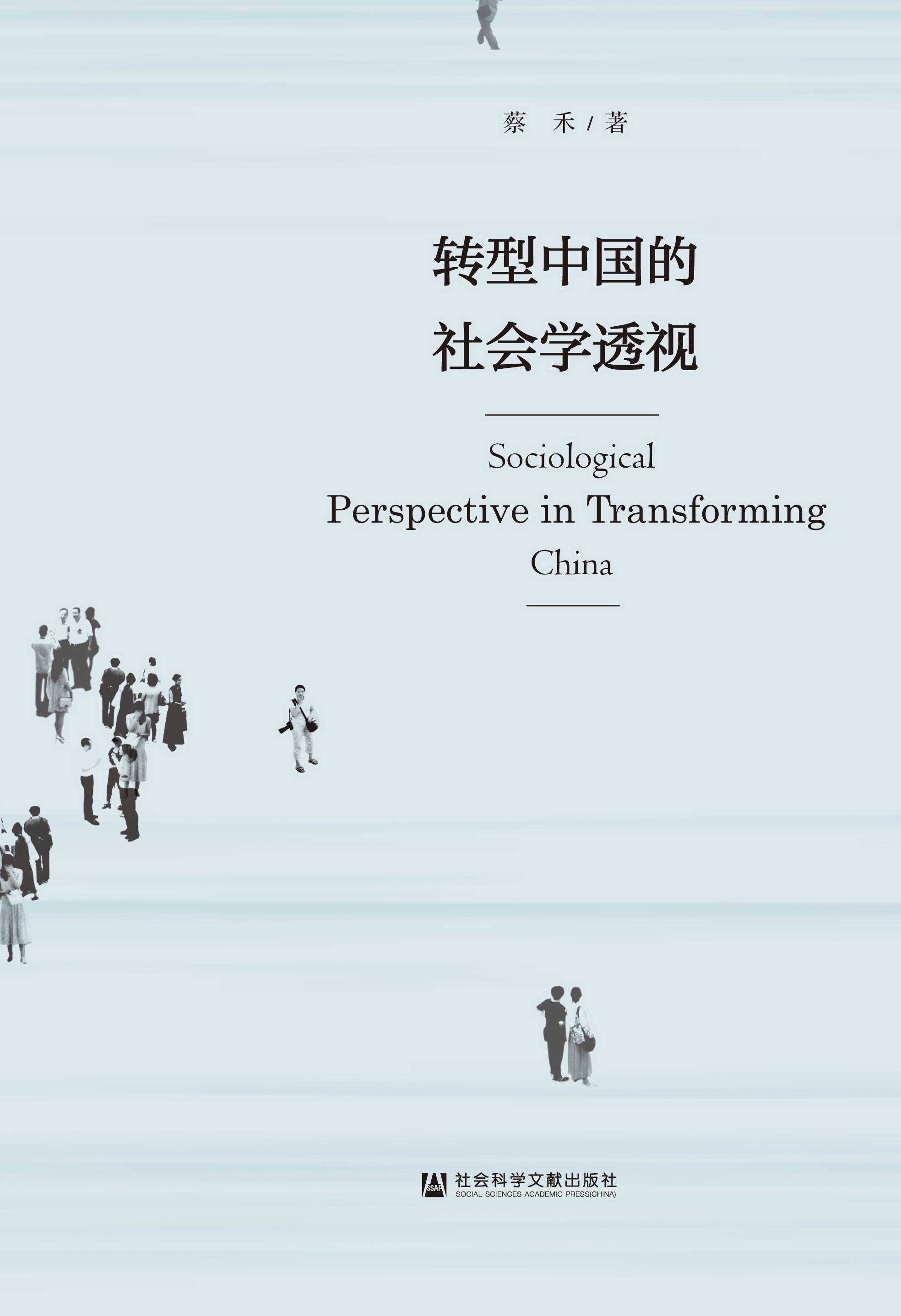 转型中国的社会学透视